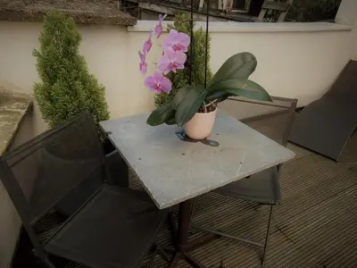 a table with a potted plant on top of it at Villa Einstein Apartments in Antwerp