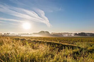 a field of grass with the sun in the sky at Eyndevelde in Herzele