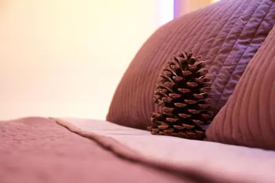 a pine cone sitting on top of a bed at Casa Delux in Lille