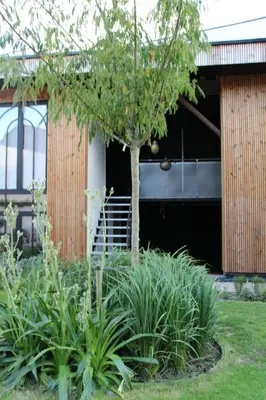 a tree in a garden in front of a building at Koto Garden Suites in Antwerp