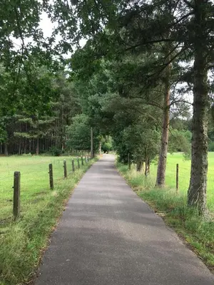 a road with trees on the side of a field at B&B de ZIL in Herselt