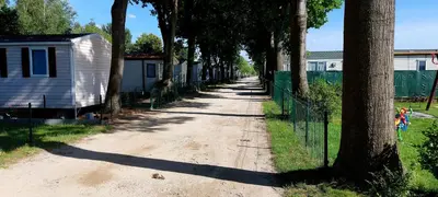 a dirt road lined with trees and a fence at Lake Park in Berlare