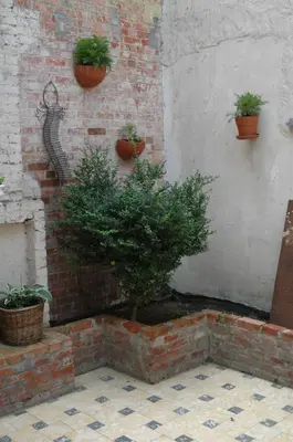 a potted tree in a corner of a wall with plants at Holiday Home near town in Aarschot