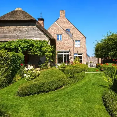 B&B Vinedo