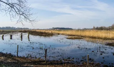 a marshy field with a fence in the water at Stay in Ghent in Ghent