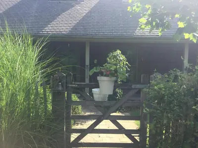 a potted plant on a wooden table in a garden at B&B L'Eau Claire in La Hulpe