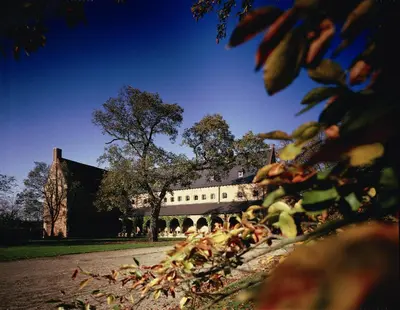 a building is seen through the leaves of a tree at Priorij Corsendonk in Oud-Turnhout