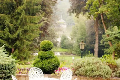 a bush sitting in the middle of a garden at Martin's Manoir in Genval