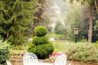 a bush sitting in a garden with two chairs at Martin's Manoir in Genval