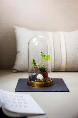 a glass dome with a plant in it on a desk at NH Collection Gent in Ghent
