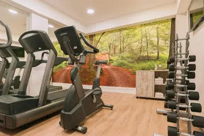 a gym with two tread machines and a wall mural at Catalonia Brussels in Brussels