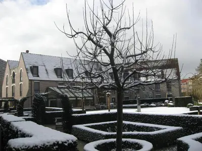 a tree in a garden covered in snow at Begijnhof Hotel in Leuven