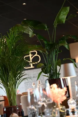 a table with two large plants in vases on it at Bremberg Hotel in Haasrode