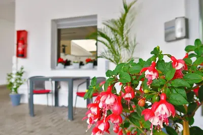 a plant with red flowers in front of a table at Hotel Adoma in Ghent