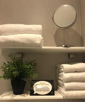 a bathroom shelf with towels and a mirror and a plant at Axis Hotel in Kortenberg