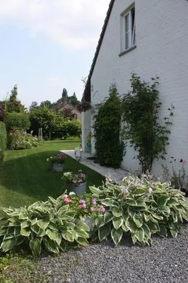 a garden with flowers and plants in front of a house at Studio Apartment Alba in La Hulpe