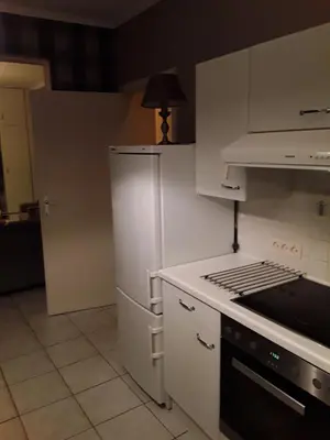 a kitchen with a refrigerator and a stove top oven at Wenceslas Cobergher III in Bertem