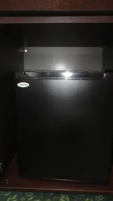 a black refrigerator in a wooden cabinet with its door open at Hotel L'auberge Du Souverain in Brussels
