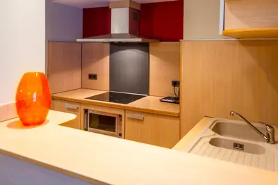 a kitchen with wooden cabinets and a sink and an orange vase at Wellness Apart Hotel in Brussels