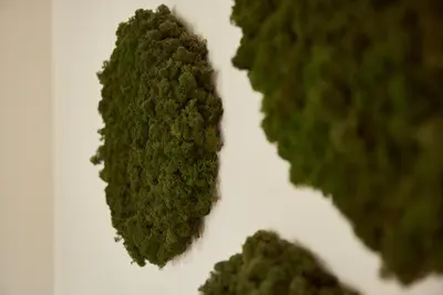 a close up of green leaves on a white plate at Van der Valk Hotel Dennenhof in Brasschaat