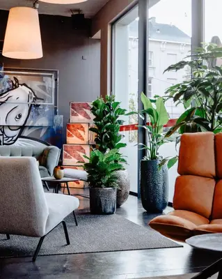a living room with plants and chairs and a window at Hotel Vé in Mechelen