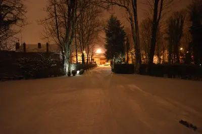 a snow covered street at night with trees and lights at Hotel Malcot in Mechelen