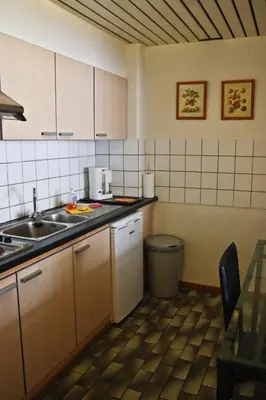 a kitchen with a sink and a counter top at City Apartments Antwerpen in Antwerp