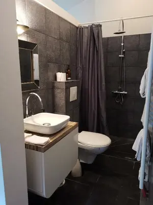 a bathroom with a sink and a toilet and a shower at Eremyten Hof in Evergem