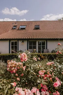 a house with pink roses in front of it at B&B Hullebrug in Heist-op-den-Berg