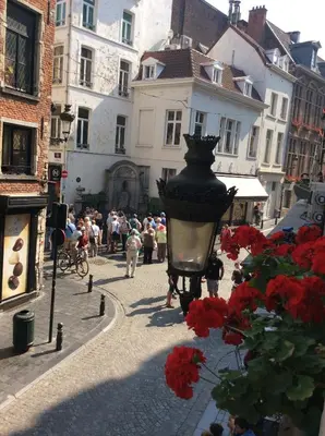 a street with a street light and red flowers at Hotel La Vieille Lanterne in Brussels