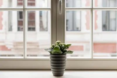 a vase with flowers sitting on a window sill at Cozy & Bright Apartment in Antwerp