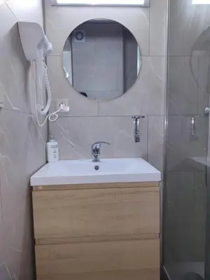 a bathroom with a sink and a mirror at Hotel Evergreen in Brussels