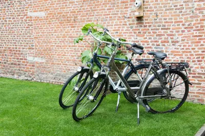 two bikes are parked next to a brick wall at B&B De Vrome Vos in Mechelen