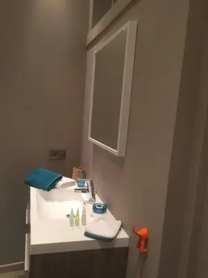 a bathroom with a white sink and a mirror at Suite 11 in Antwerp