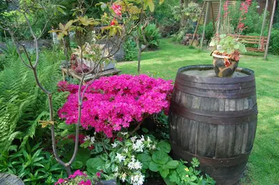 a garden with pink flowers and a wooden barrel at B&B Bij MoeMee in Ghent