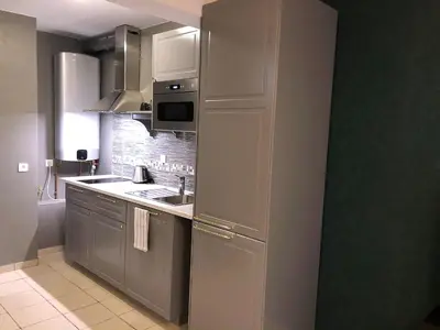 a kitchen with a refrigerator and a sink at Apartment in Antwerp city centre in Antwerp
