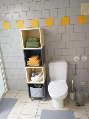 a bathroom with a toilet and a shelf with towels at Vakantiestudio 'Kleine Johannes' in Duffel