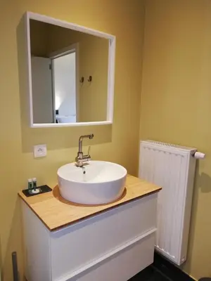 a bathroom with a sink and a mirror at Touristflat Dewulf in Ghent