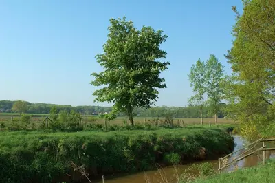 a river with a bridge and trees in a field at Huize Nassau in Zelem