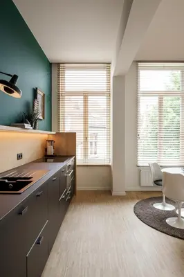 a kitchen with gray cabinets and two windows at Great to stay Gent I rooms & apartments in Ghent