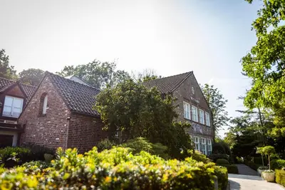 a brick house with a tree in front of it at Ter Heide (Kaprijke - Lembeke) in Lembeke