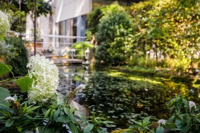 a pond with white flowers in front of a building at Ter Heide (Kaprijke - Lembeke) in Lembeke
