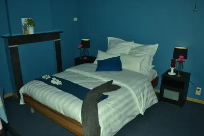 a bedroom with a bed with a cat laying on it at Hotel Het Gasthof in Herent