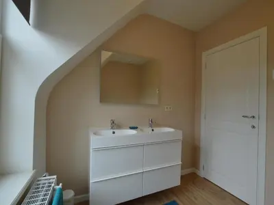a bathroom with a sink and a mirror at Sint-Amands Country Escape in Sint-Amands