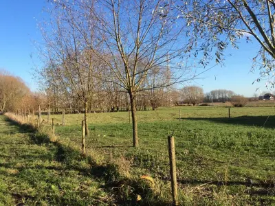 a fence in the middle of a field with trees at Sint-Amands Country Escape in Sint-Amands
