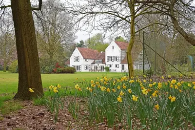 a white house with daffodils in front of it at B&B Domein Rodin in Oud-Turnhout