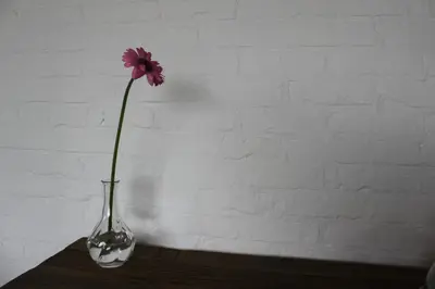 a vase with a pink flower sitting on a table at B&B 't Hoogste in Bornem