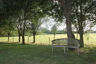 a park bench sitting in the grass under a tree at B&B 't Hoogste in Bornem