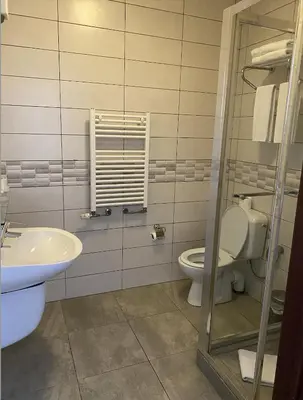 a bathroom with a toilet and a sink at Hotel Prestige in Brussels