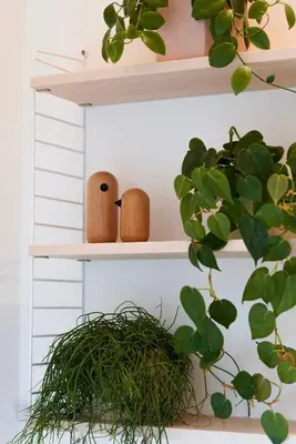 two wooden owls on shelves with a plant at B&B De Stuifduinen in Wetteren